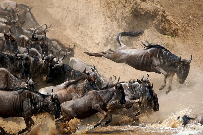 5 Days / 4 Nights Join Group Safari - Traveler Information