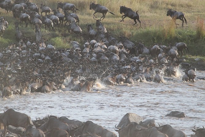 5 Days/4 Nights Kenya Safari - Inclusions