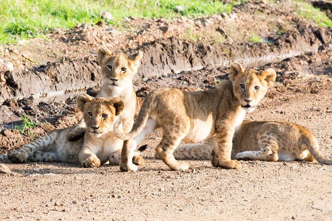 5 Days/4 Nights Kenya Safari - Booking Information