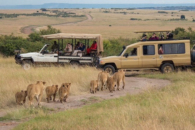 5 Days/4 Nights Kenya Safari - Health and Accessibility