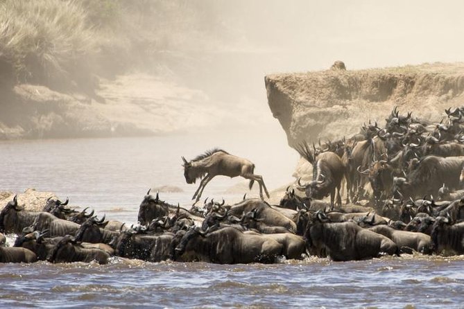 5 Days 4 Nights Tarangire, Serengeti , Ngorongoro & Manyara Wildlife Safari - Itinerary Highlights