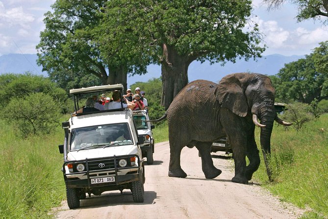 5 Days 4 Nights Tarangire, Serengeti , Ngorongoro & Manyara Wildlife Safari - Arrival and Logistics