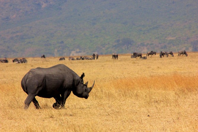 5 Days 4 Nights Tarangire, Serengeti , Ngorongoro & Manyara Wildlife Safari - Discovering Ngorongoro and Manyara