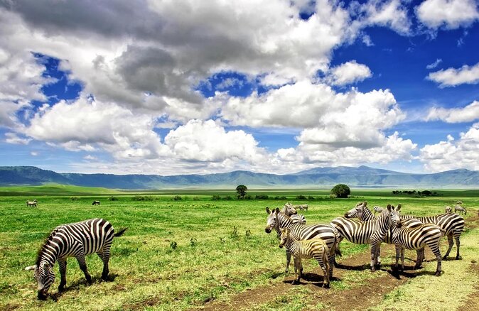 5 Days African Safaris - Key Points