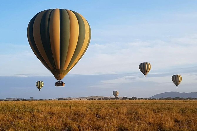 5 Days African Safaris - Scheduling and Pickup