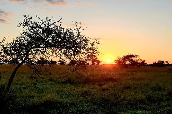 5 Days African Safaris - Pricing and Cancellation