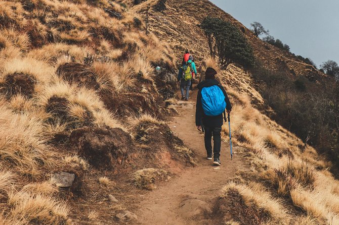 5 Days Amazing Mardi Himal Trek From Pokhara - Day 2: Deurali to Low Camp