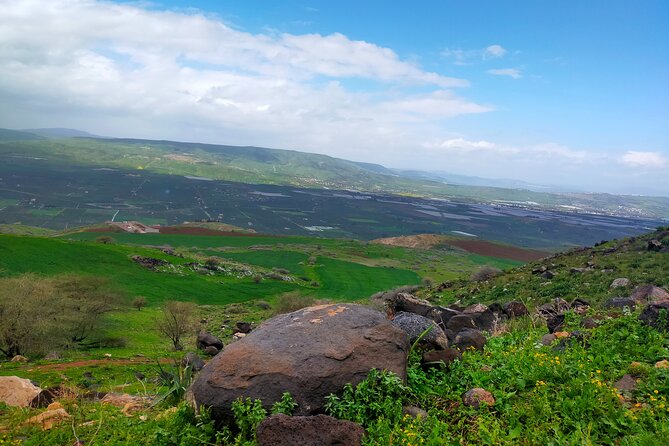 5 Days Best of Jordan (Private Customized Tour) - Review Insights