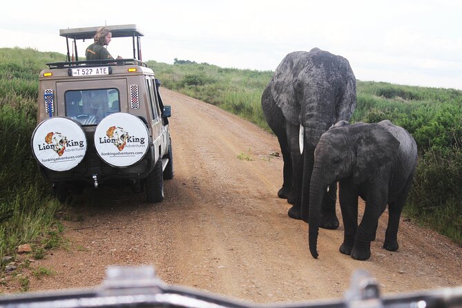 5 Days Best of Tanzania Luxury Safari Northern Circuit - Accommodation and Lodging
