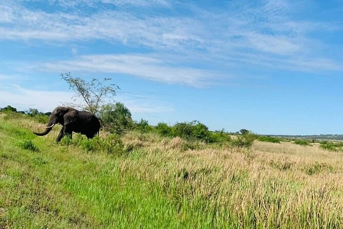 5 Days Best Wildlife Experience in Uganda - Booking and Cancellation