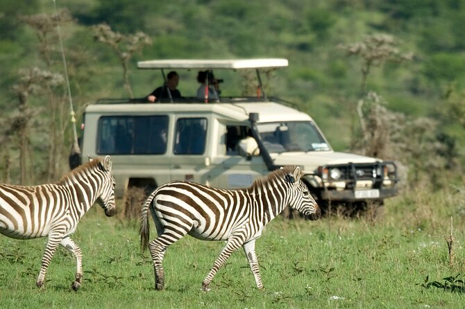 5 Days Budget Safari in Tanzania - Included in the Package
