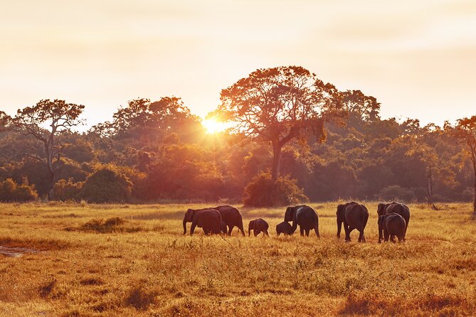 5 Days Budget Safari in Tanzania - Pricing and Cancellation