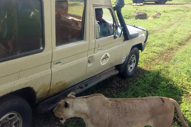 5 Days Camping Tarangire, Serengeti & Ngorongoro Crater & Visiting Maasai - Unsafe and Unhygienic Bathrooms