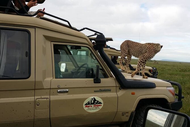 5 Days Camping Tarangire, Serengeti & Ngorongoro Crater & Visiting Maasai - Food Safety Concerns