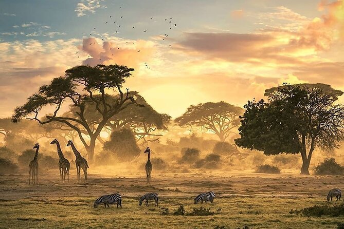 5 Days Camping Tarangire, Serengeti & Ngorongoro Crater & Visiting Maasai - Unreliable Technology and Wet Seats