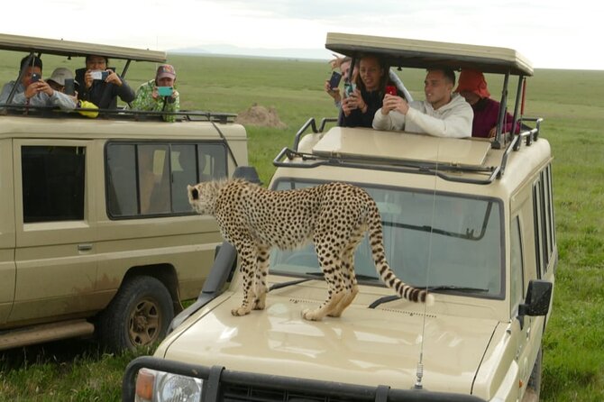 5 Days Camping Tarangire, Serengeti & Ngorongoro Crater & Visiting Maasai - Cultural Interaction With the Maasai