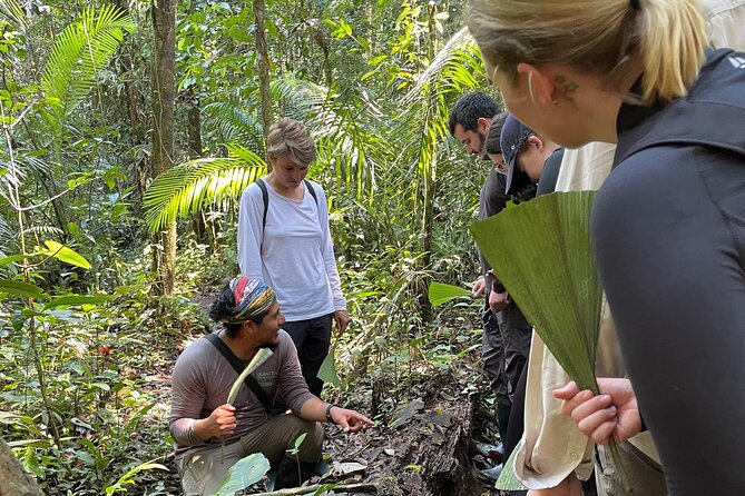 5 Days Cuyabeno Amazon Experience at Waita Lodge - Transportation and Accommodations