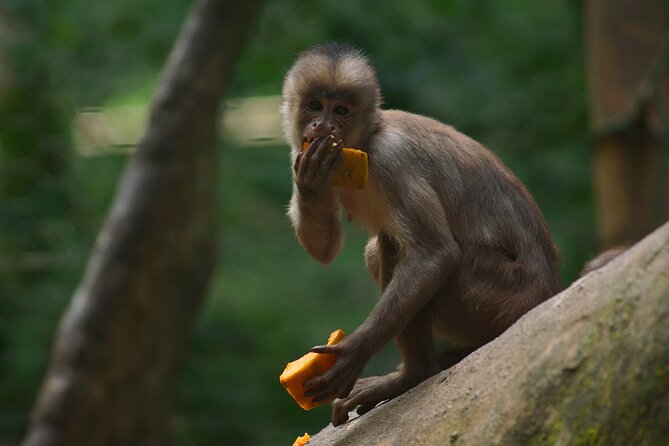 5 Days Cuyabeno Wildlife Reserve Adventure - Key Points