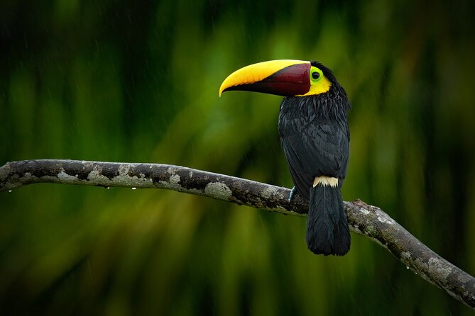 5 Days Cuyabeno Wildlife Reserve Adventure - Canoeing Through the Flooded Forest