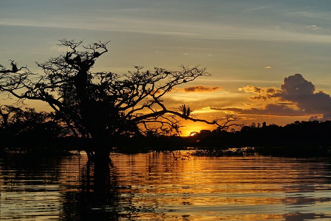 5 Days Cuyabeno Wildlife Reserve Adventure - Navigating the Cuyabeno River System