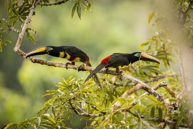 5 Days Cuyabeno Wildlife Reserve Adventure - Logistics and Travel Considerations