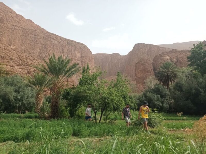 5 Days Desert Tour From Marrakech to Merzouga Dunes - Key Points