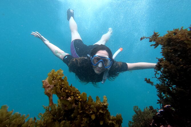 5 Days Excursion to Galapagos Islands With Snorkel and Volcanoes - Inclusions