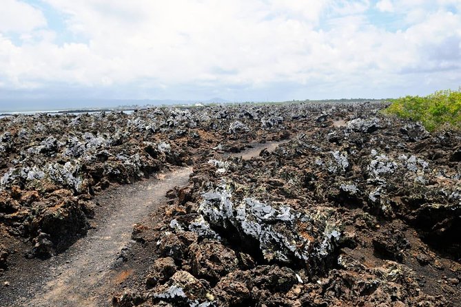 5 Days Galapagos Tour: Santa Cruz and Isabela Islands - Traveler Requirements