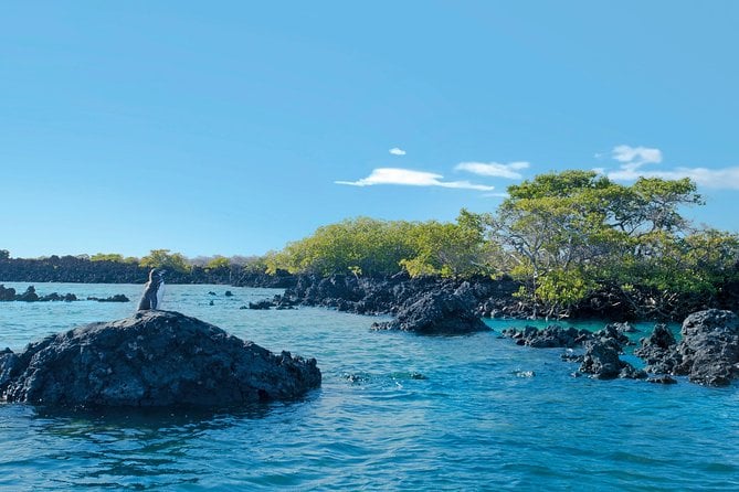 5 Days Galapagos Tour: Santa Cruz and Isabela Islands - Discovering Isabela Island