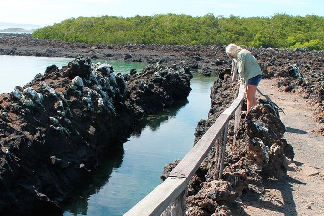 5 Days Galapagos Tour: Santa Cruz and Isabela Islands - Traveler Feedback and Experiences