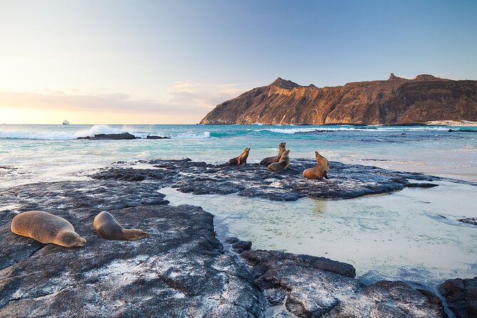 5 Days Galapagos Wildlife Discovery - Exploring Baltra Island