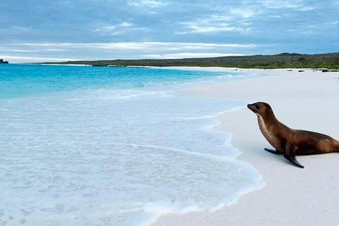 5 Days Galapagos Wildlife Discovery - Visiting Floreana Island