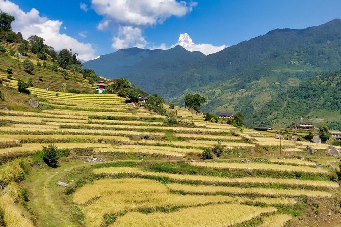 5 Days Ghorepani Poonhill Sunrise Trek - Inclusions and Exclusions