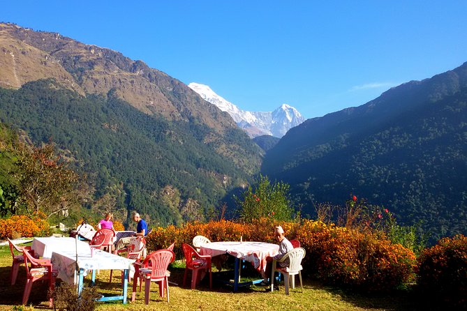 5 Days Ghorepani Poonhill Sunrise Trek - Trek Highlights