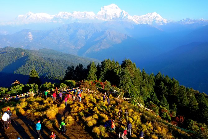 5 Days Ghorepani Poonhill Sunrise Trek - Itinerary and Route