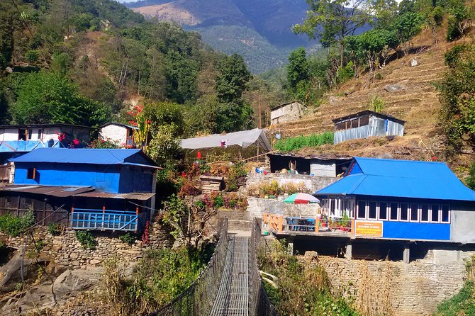 5 Days Ghorepani Poonhill Sunrise Trek - Accommodations and Meals