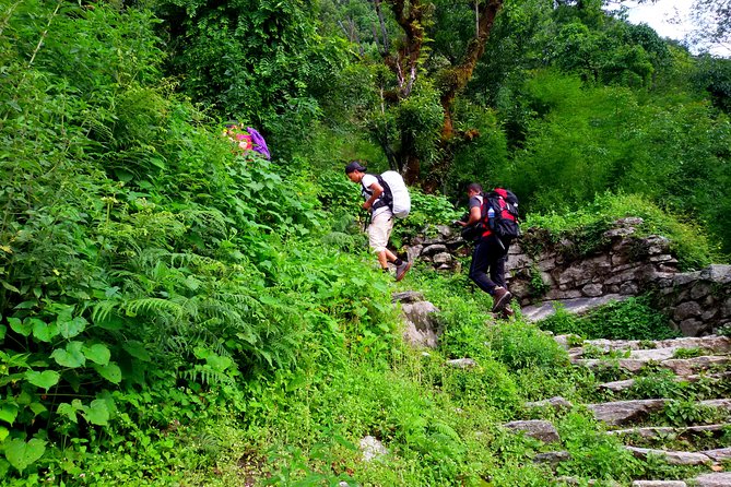 5 Days Ghorepani Poonhill Sunrise Trek - Safety and Precautions