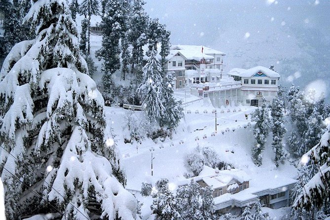 5 Days Golden Triangle Tour - About the Operator