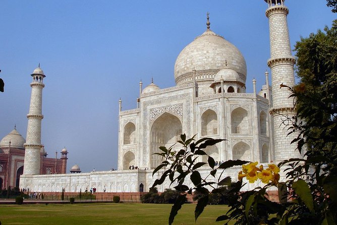 5 Days Golden Triangle Tour and Ranthambore Wildlife Safari - Tour Highlights and Inclusions
