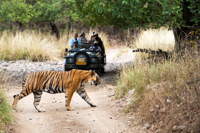 5 Days Golden Triangle Tour With Ranthambore Tiger Safari - Travel Considerations
