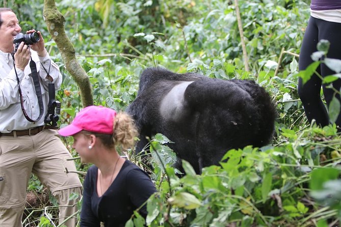 5 Days Gorilla & Wildlife Safari in Uganda - Pickup and Drop-off Locations