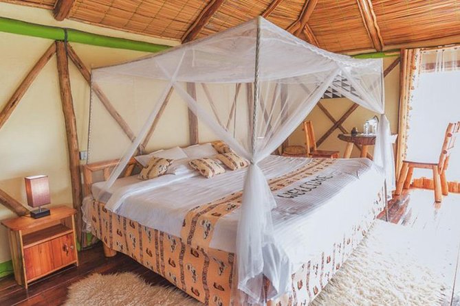 5 Days Gorilla & Wildlife Safari in Uganda - Participant Reviews