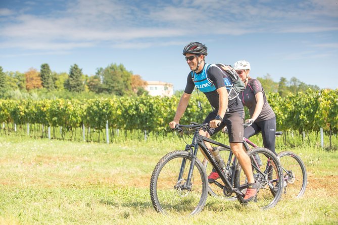 5-Days Guided Bike Tour in Istria With Private Accommodation - About Your Stay