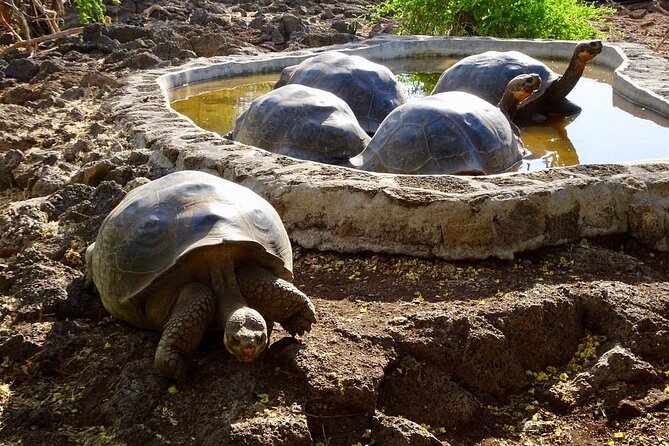 5 Days Guided Galapagos Adventure Trip - Included Activities and Excursions