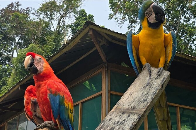 5 Days Guided Manu Amazon Tour - Included Amenities