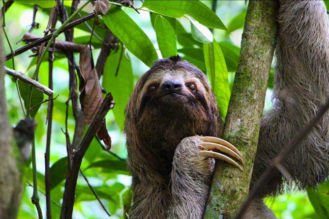 5 Days Guided Manu Amazon Tour - Meeting and Pickup