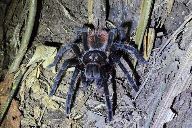5 Days Guided Manu Amazon Tour - Safety Considerations