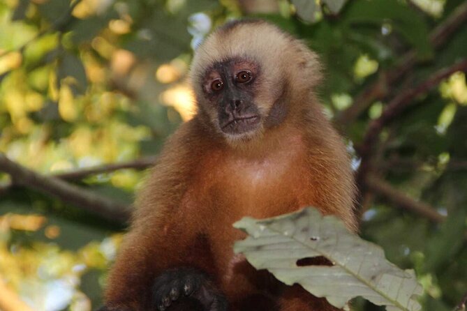 5 Days Guided Manu Amazon Tour - Included Amenities