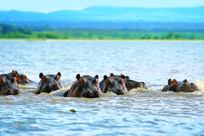 5 Days Hells Gate, L. Naivasha, L. Nakuru & Masai Mara Luxury Safari - Key Points