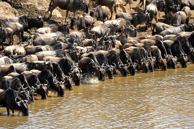 5 Days Hells Gate, L. Naivasha, L. Nakuru & Masai Mara Luxury Safari - Taking in Masai Maras Magnificent Landscapes